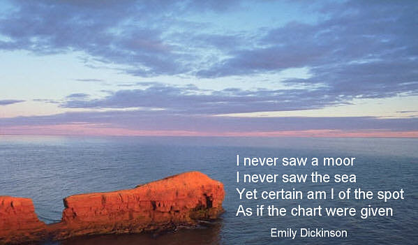 Because I could not stop for death. Meditation on Emily Dickinson's poems