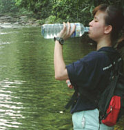 Drinking water from a jungle stream